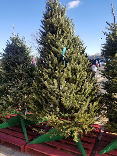 Home Improvement Store «The Home Depot», reviews and photos, 116 Walker Ave, West Berlin, NJ 08091, USA