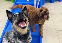 Hounds Town Garden City - Photo 3 - Car repair in Garden City, NY, Queens