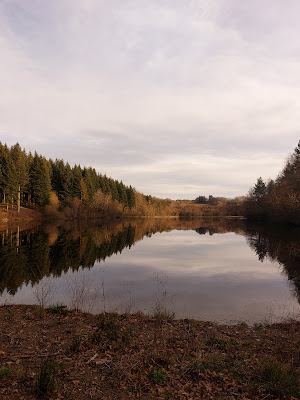 Pont sur le ruisseau de la Salamanière à Viam