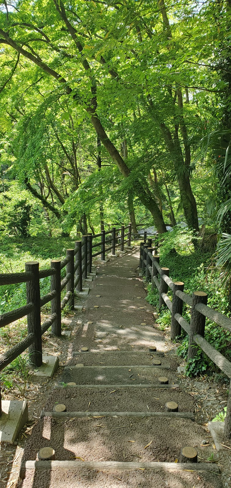 高津戸公園