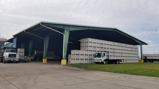 Produce Wholesaler «Goodson Farms Inc.», reviews and photos, 12405 Balm Rd, Balm, FL 33503, USA