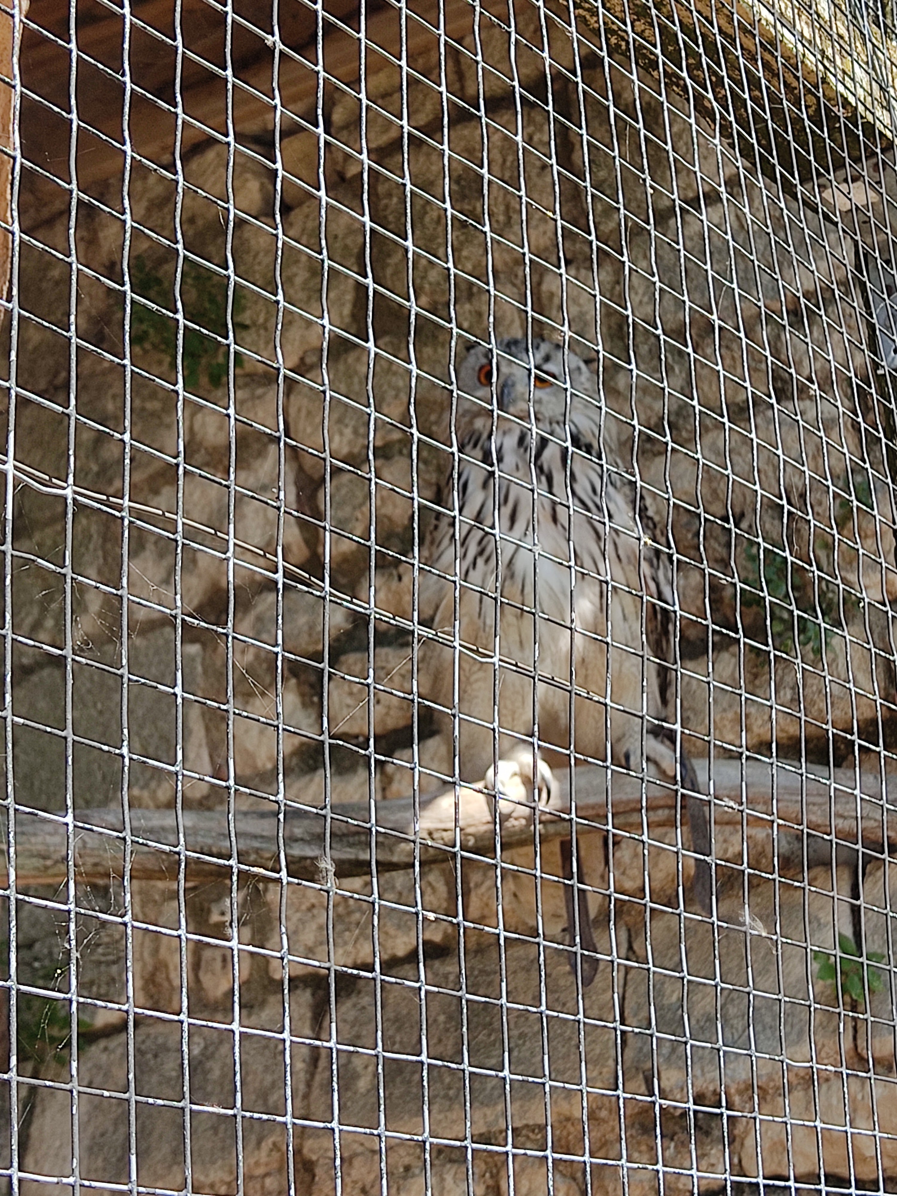 Photo n° 3 de l'avis de Zig.u fait le 25/08/2021 à 16:58