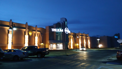 Movie Theater «NCG - Trillium Cinema», reviews and photos, 8220 Trillium Cir Ave, Grand Blanc, MI 48439, USA