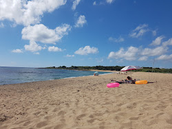 Foto von Paralia Lagkouvardos befindet sich in natürlicher umgebung