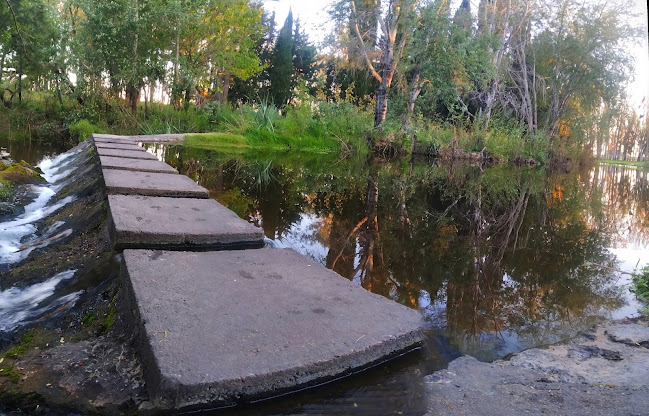 km 82,300, Ruta 90, Departamento de Paysandú, Uruguay