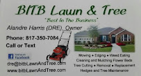 bitb lawn and tree