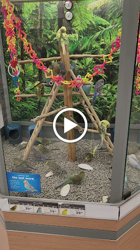 Pet Supply Store «Petco Animal Supplies», reviews and photos, 1610 Avenue Y, Brooklyn, NY 11235, USA