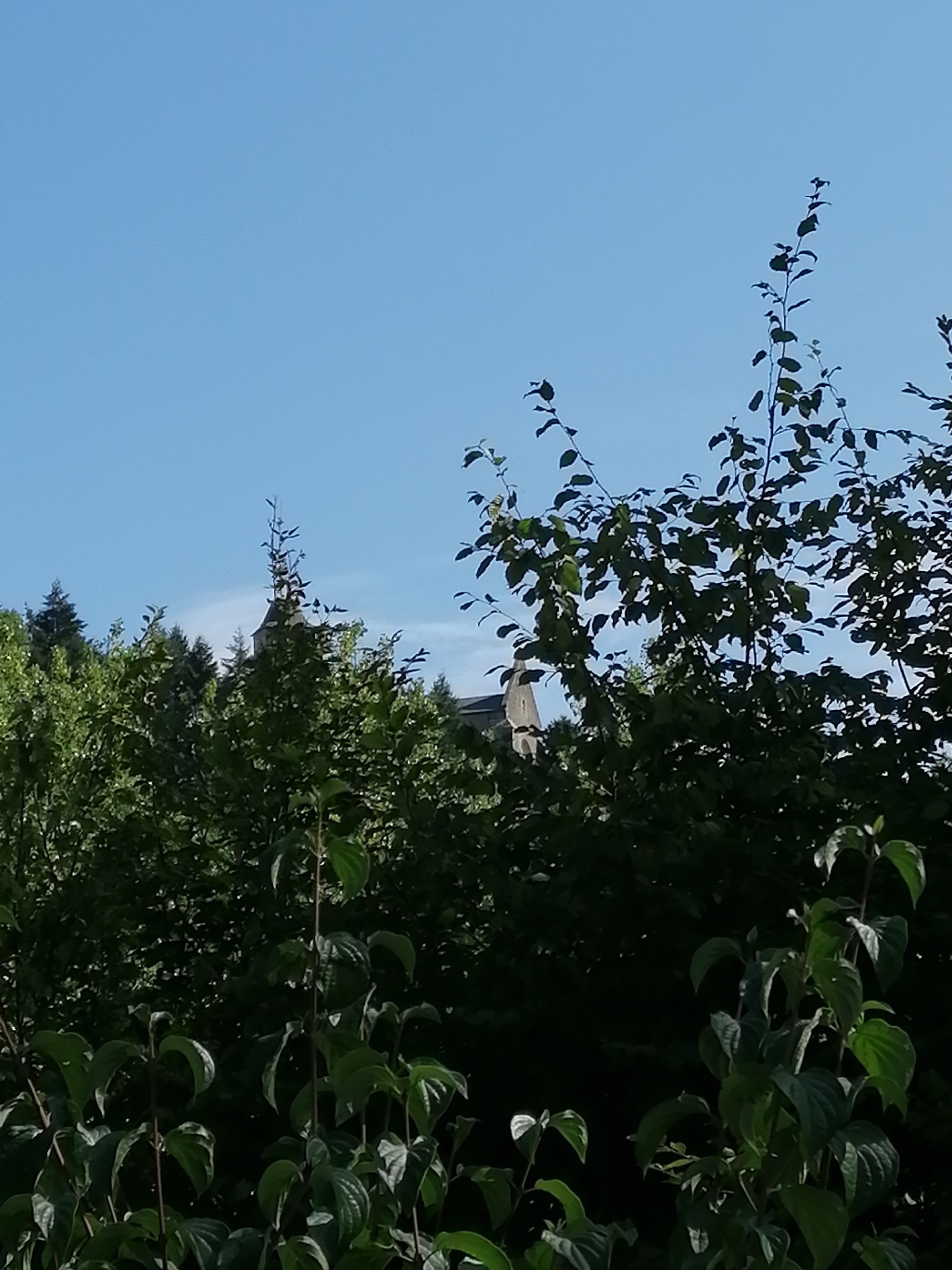 Photo n° 1 de l'avis de Sevandrea.. fait le 21/08/2019 à 16:16