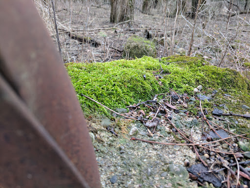 Nature Preserve «Shoe Factory Road Prairie Nature Preserve», reviews and photos, Shoe Factory Rd, Hoffman Estates, IL 60192, USA