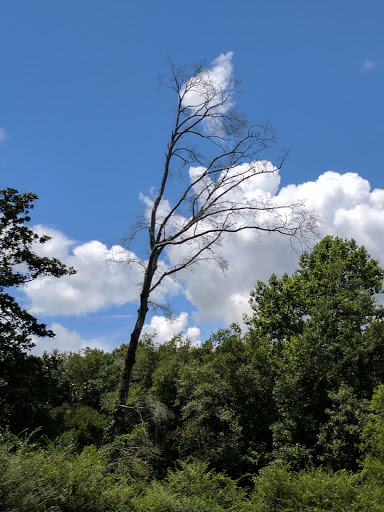 Golf Course «Highland Oaks Golf Course», reviews and photos, 904 Royal Pkwy, Dothan, AL 36305, USA