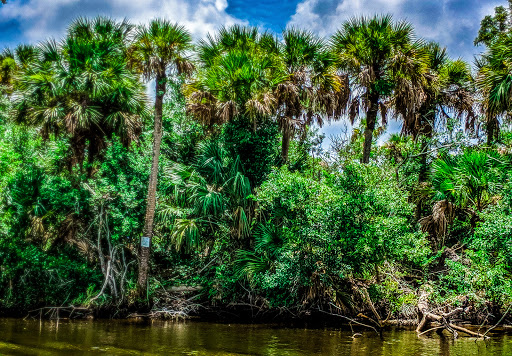 Boat Tour Agency «River Lilly Cruises», reviews and photos, 500 E Prima Vista Blvd, Port St Lucie, FL 34983, USA