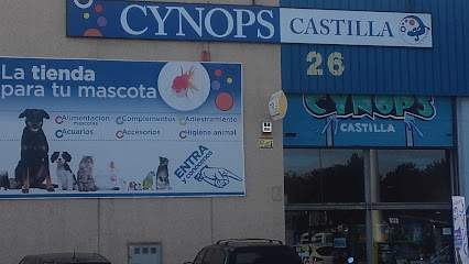 Cynops Castilla