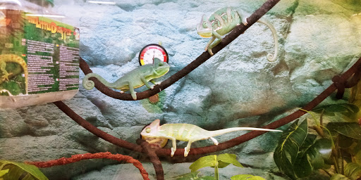 Pet Supply Store «Petco Animal Supplies», reviews and photos, 2345 Market Pl Blvd, Cumming, GA 30041, USA