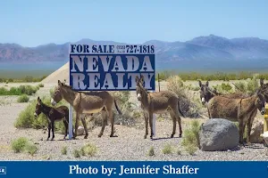 Nevada Realty image