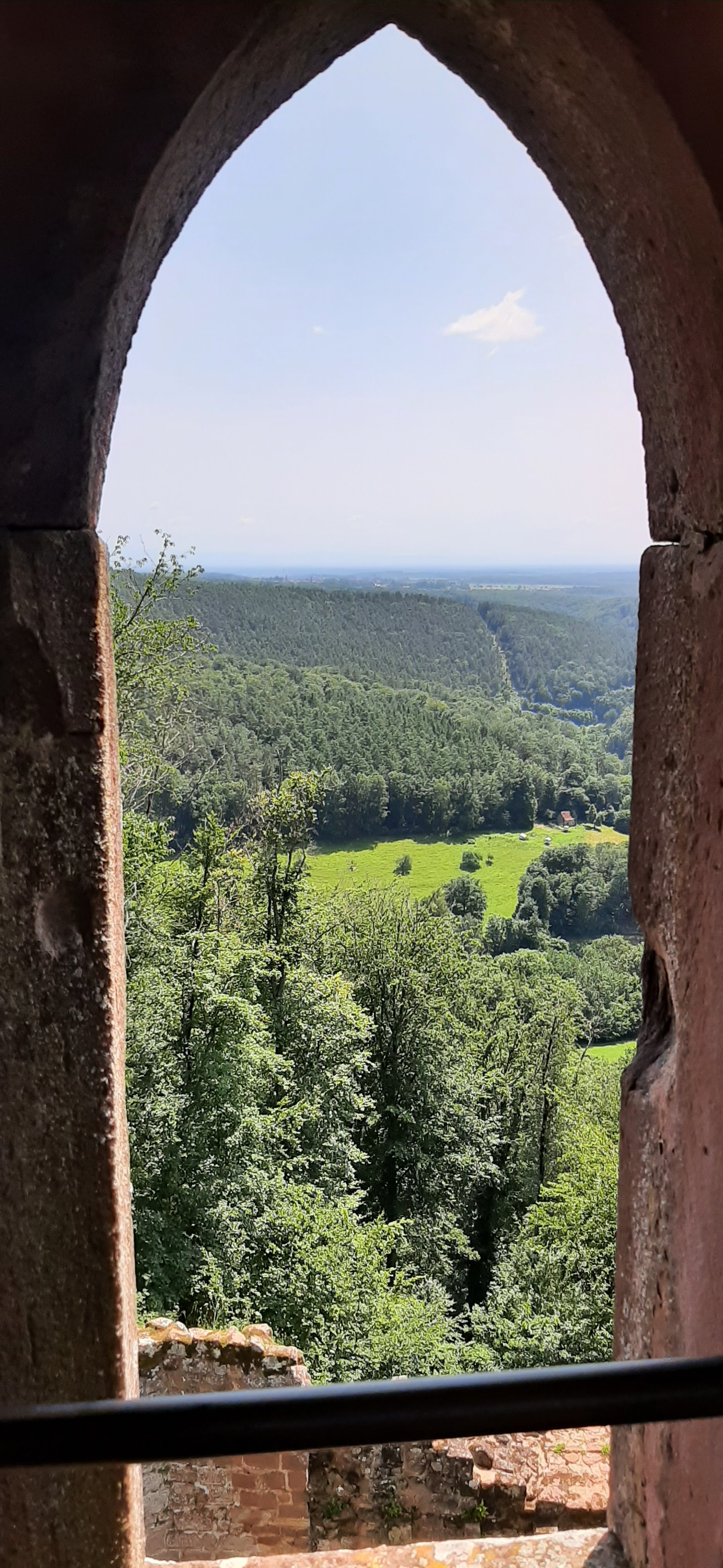 Photo n° 2 de l'avis de Carlos.a fait le 18/07/2021 à 16:13