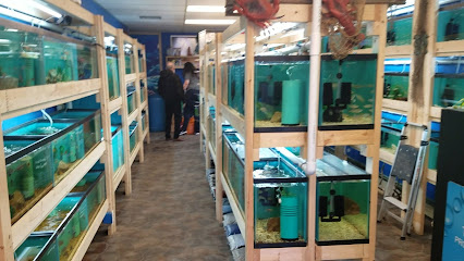 The Waters Edge Aquarium