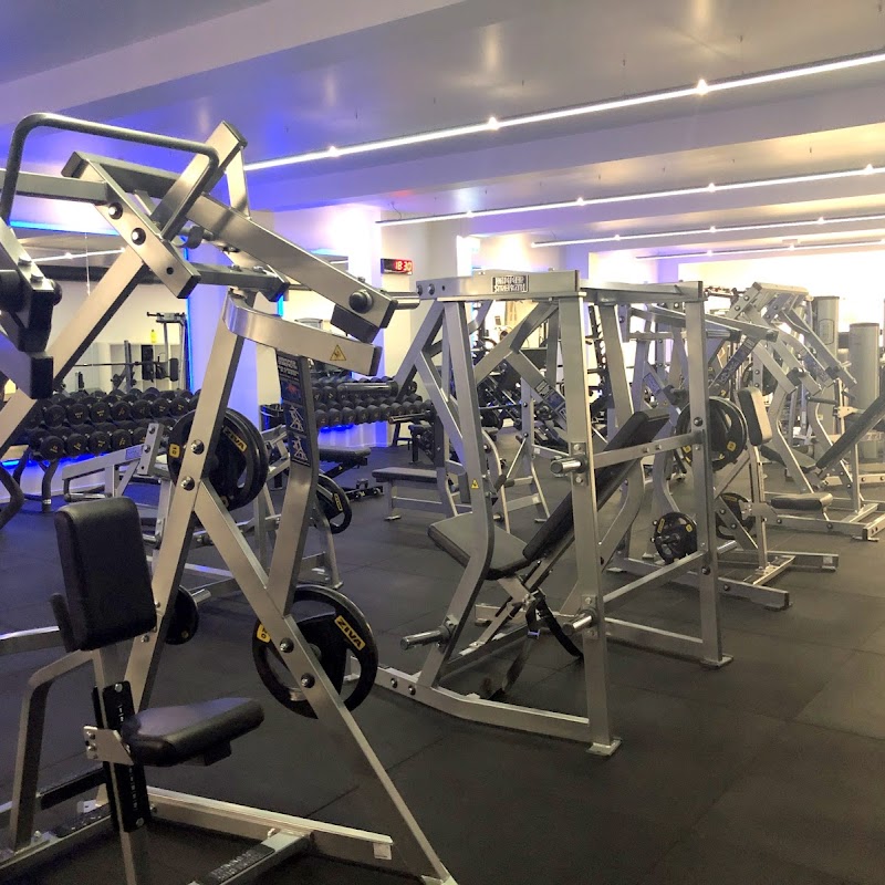 The Gallery Gym