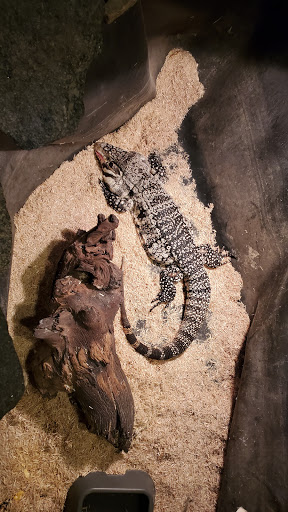 Pet Store «Pets World», reviews and photos, 147 Bridge St, Weymouth, MA 02191, USA