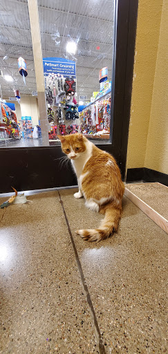 Pet Supply Store «PetSmart», reviews and photos, 16257 N Scottsdale Rd, Scottsdale, AZ 85254, USA