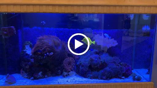 Aquarium «Ruff Waters, Inc.», reviews and photos, 4524 S 79th St, Omaha, NE 68106, USA