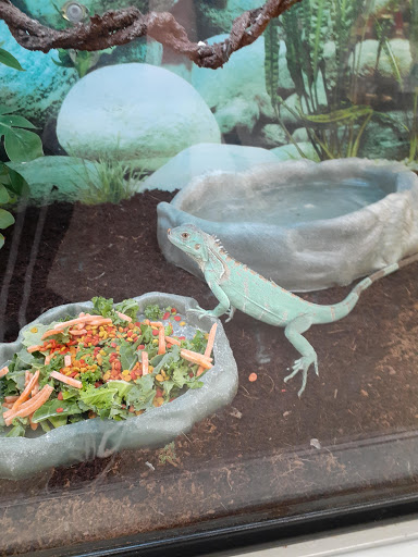 Pet Supply Store «Petco Animal Supplies», reviews and photos, 110 Percival Rd, Columbia, SC 29206, USA