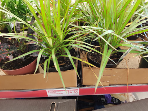 Supermarket «ALDI», reviews and photos, 600 50th Ave W, Alexandria, MN 56308, USA