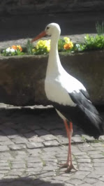 Photos du propriétaire du Restaurant La Trot À Fromages à Eguisheim - n°1