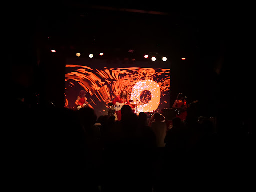 Live Music Venue «Music Hall of Williamsburg», reviews and photos, 66 N 6th St, Brooklyn, NY 11211, USA