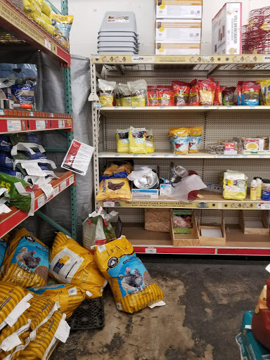 Home Improvement Store «Tractor Supply Co.», reviews and photos, 23741 US-59 #41, Porter, TX 77365, USA