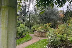 Fletcher Moss Botanical Garden image