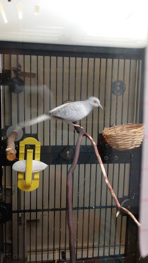 Pet Supply Store «PetSmart», reviews and photos, 4045 Dowlen Rd, Beaumont, TX 77706, USA