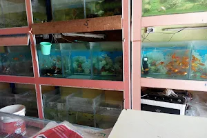 Chittaragi Aquariums image