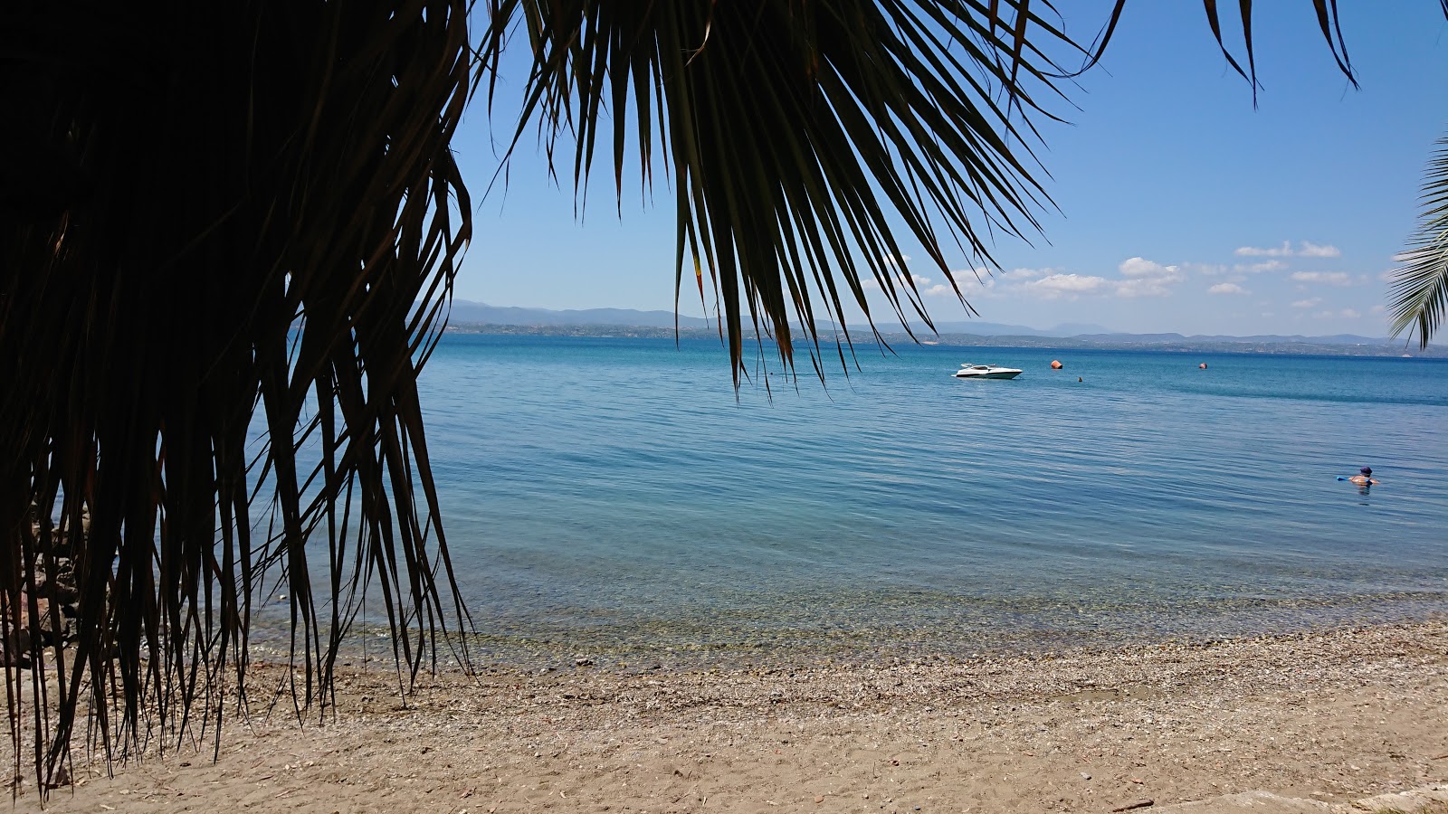 Photo de Milos Camping Beach - endroit populaire parmi les connaisseurs de la détente