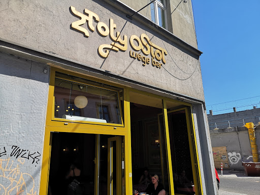 Cat bars in Katowice