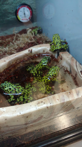 Pet Supply Store «Petco Animal Supplies», reviews and photos, 2277 Ford Pkwy, St Paul, MN 55116, USA