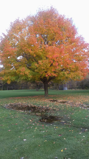 Golf Course «Edgebrook Golf Course», reviews and photos, 6100 N Central Ave, Chicago, IL 60646, USA