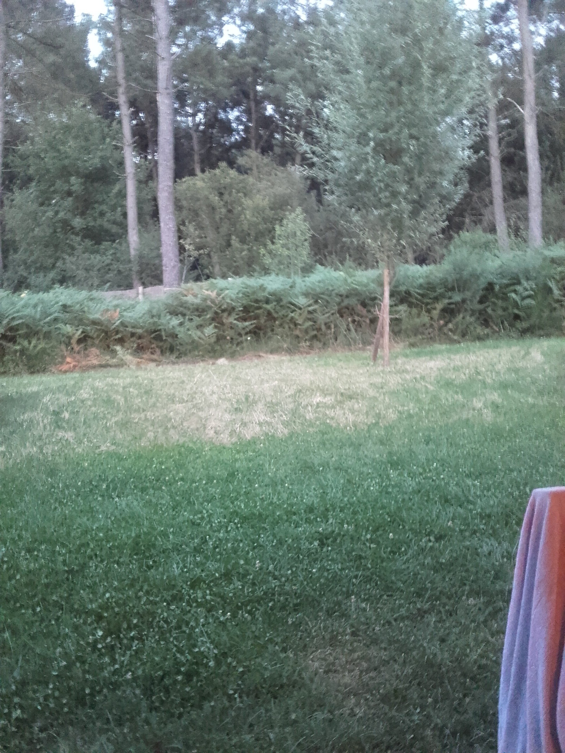 Photo n° 1 de l'avis de Knud. fait le 14/07/2018 à 20:04