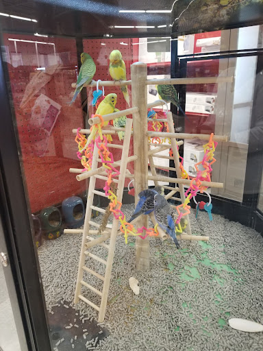 Pet Supply Store «Petco Animal Supplies», reviews and photos, 600 US-441, The Villages, FL 32159, USA