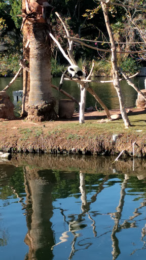 Zoo «Phoenix Zoo», reviews and photos, 455 N Galvin Pkwy, Phoenix, AZ 85008, USA