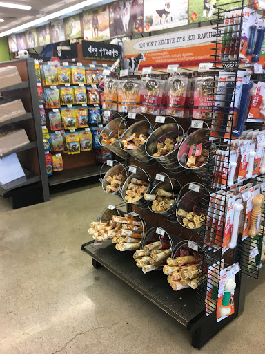Pet Supply Store «Pet Food Express», reviews and photos, 320 S Lake Ave, Pasadena, CA 91101, USA