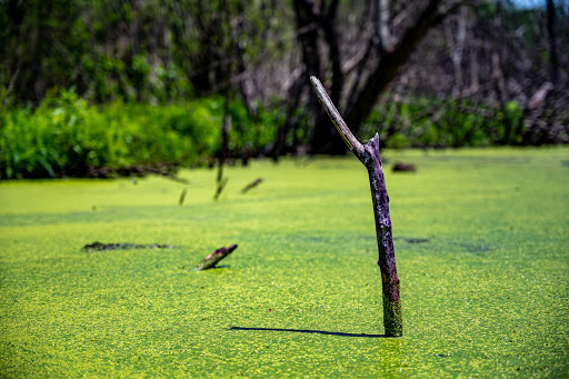 State Park «Breakheart Reservation», reviews and photos, 177 Forest St, Saugus, MA 01906, USA