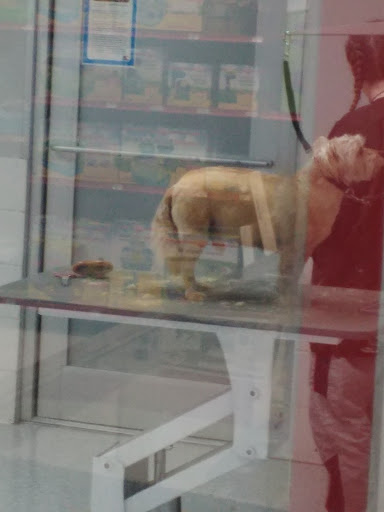 Pet Supply Store «Petco Animal Supplies», reviews and photos, 5843 N Elizabeth St, Pueblo, CO 81008, USA