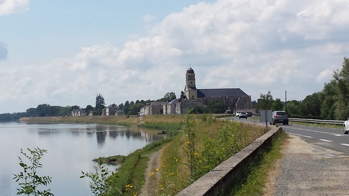 Les Palmiers à La Bohalle à Loire-Authion (Maine-et-Loire 49)