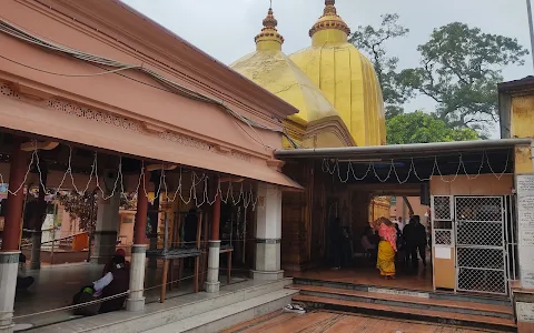 Kapalini (Bhimarupa) Shaktipeeth Maa Bargabhima Temple image