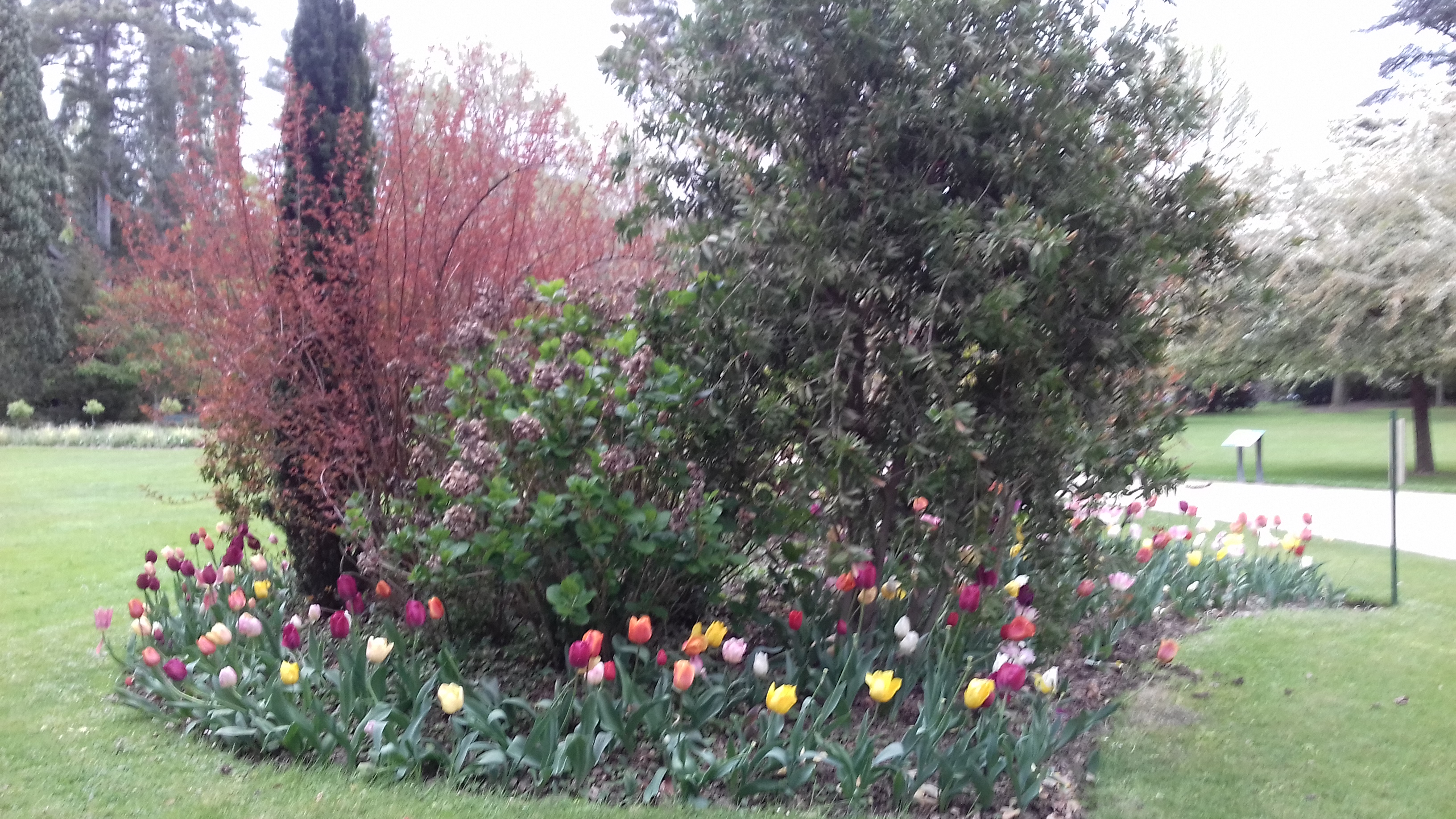 Photo n° 5 de l'avis de veronique.a fait le 12/04/2019 à 05:39