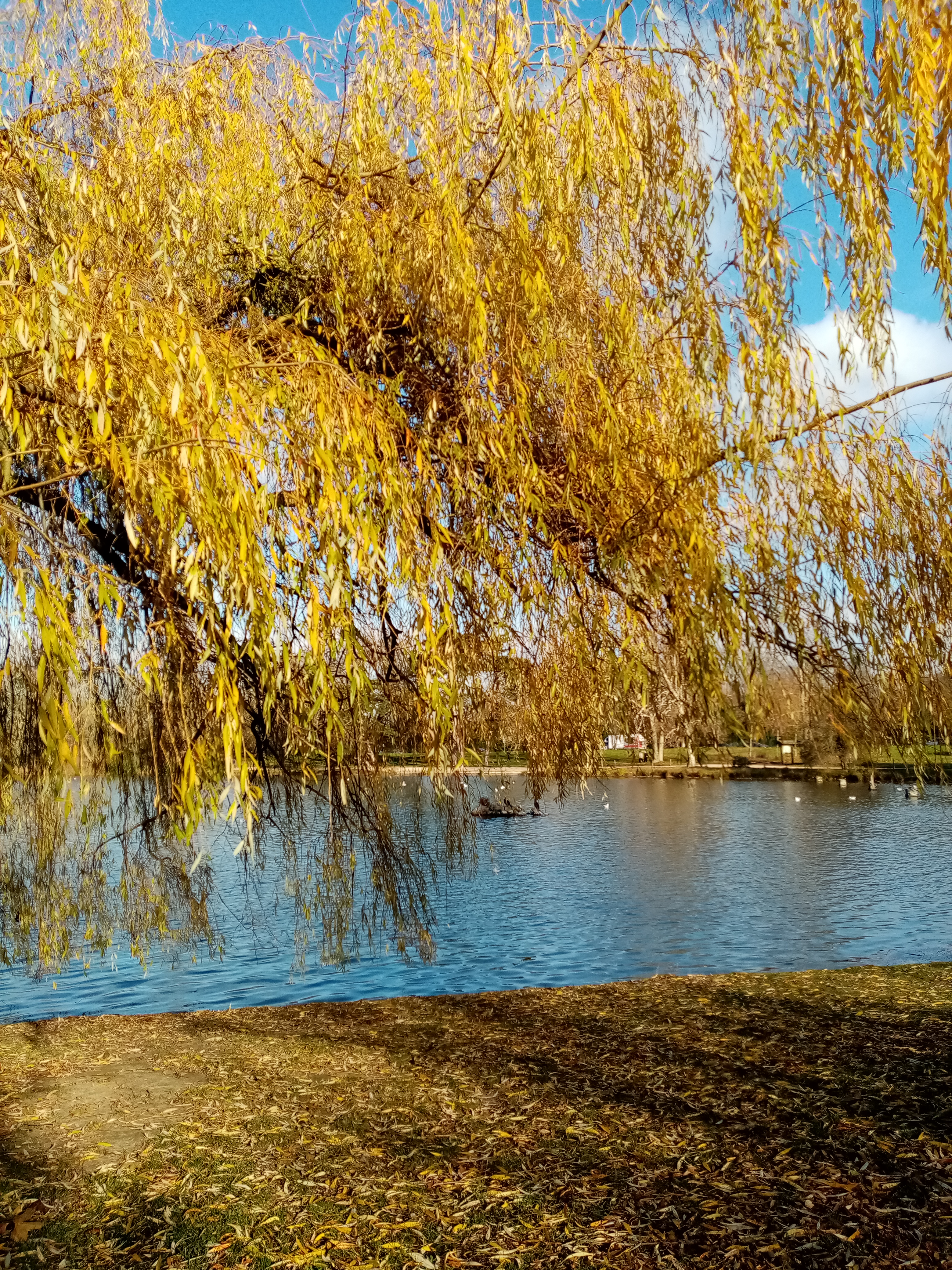 Photo n° 2 de l'avis de Sylvie.a fait le 11/10/2021 à 06:16