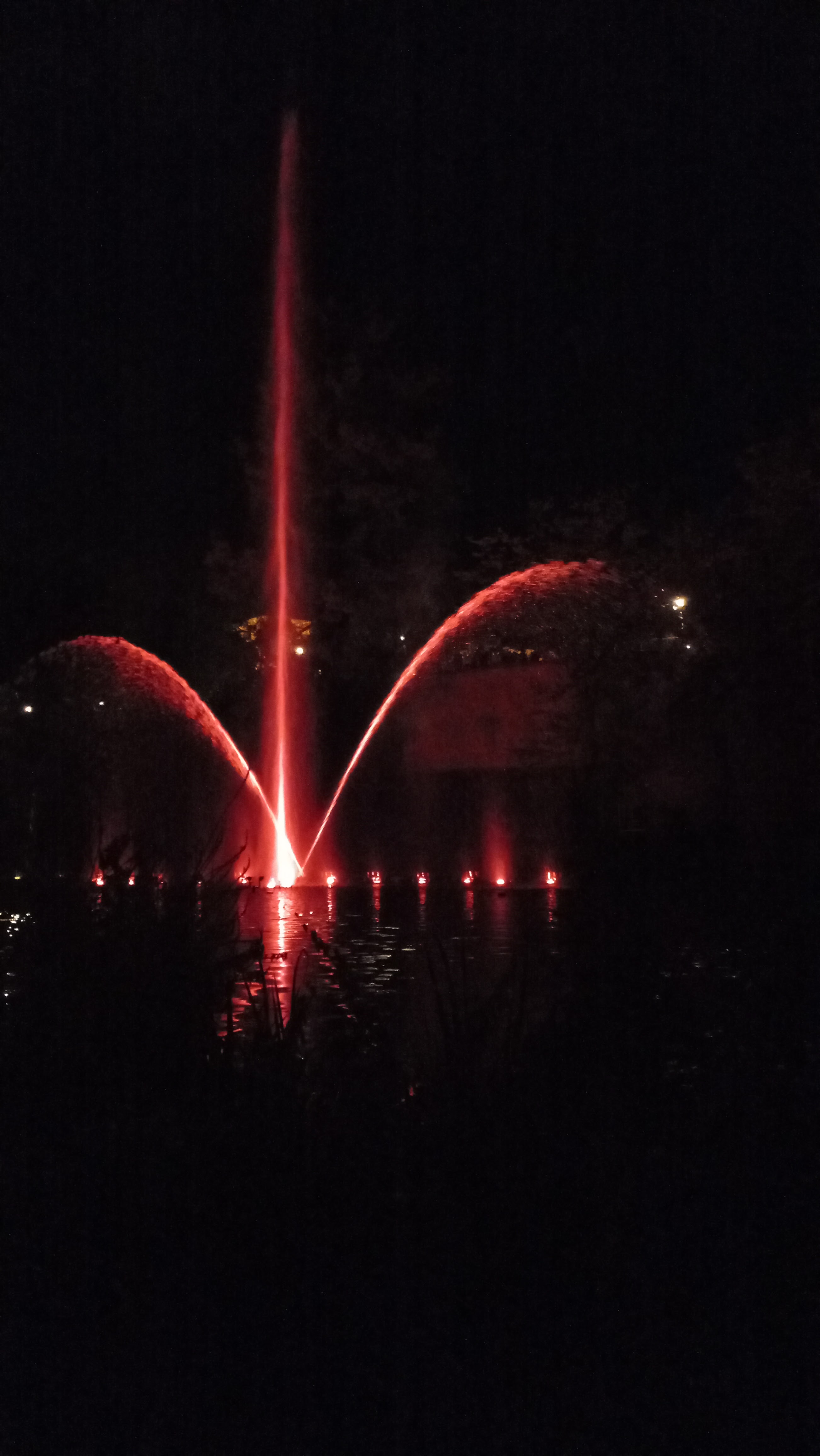 Photo n° 5 de l'avis de ouioui57.I fait le 22/08/2023 à 21:33