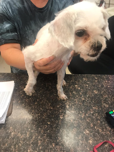 Pet Store «Back To Nature Pets & Grooming», reviews and photos, 110 N Dupont Hwy, New Castle, DE 19720, USA