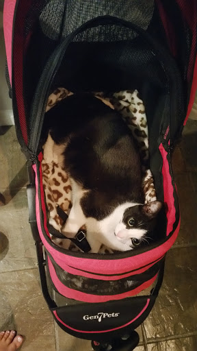 Pet Supply Store «Pet Food Express», reviews and photos, 868 Sir Francis Drake Blvd, San Anselmo, CA 94960, USA