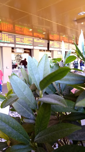 Movie Theater «Cinemark 24 Jordan Landing and XD», reviews and photos, 7301 Jordan Landing Blvd, West Jordan, UT 84084, USA